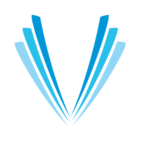 Veer Consultancy logo